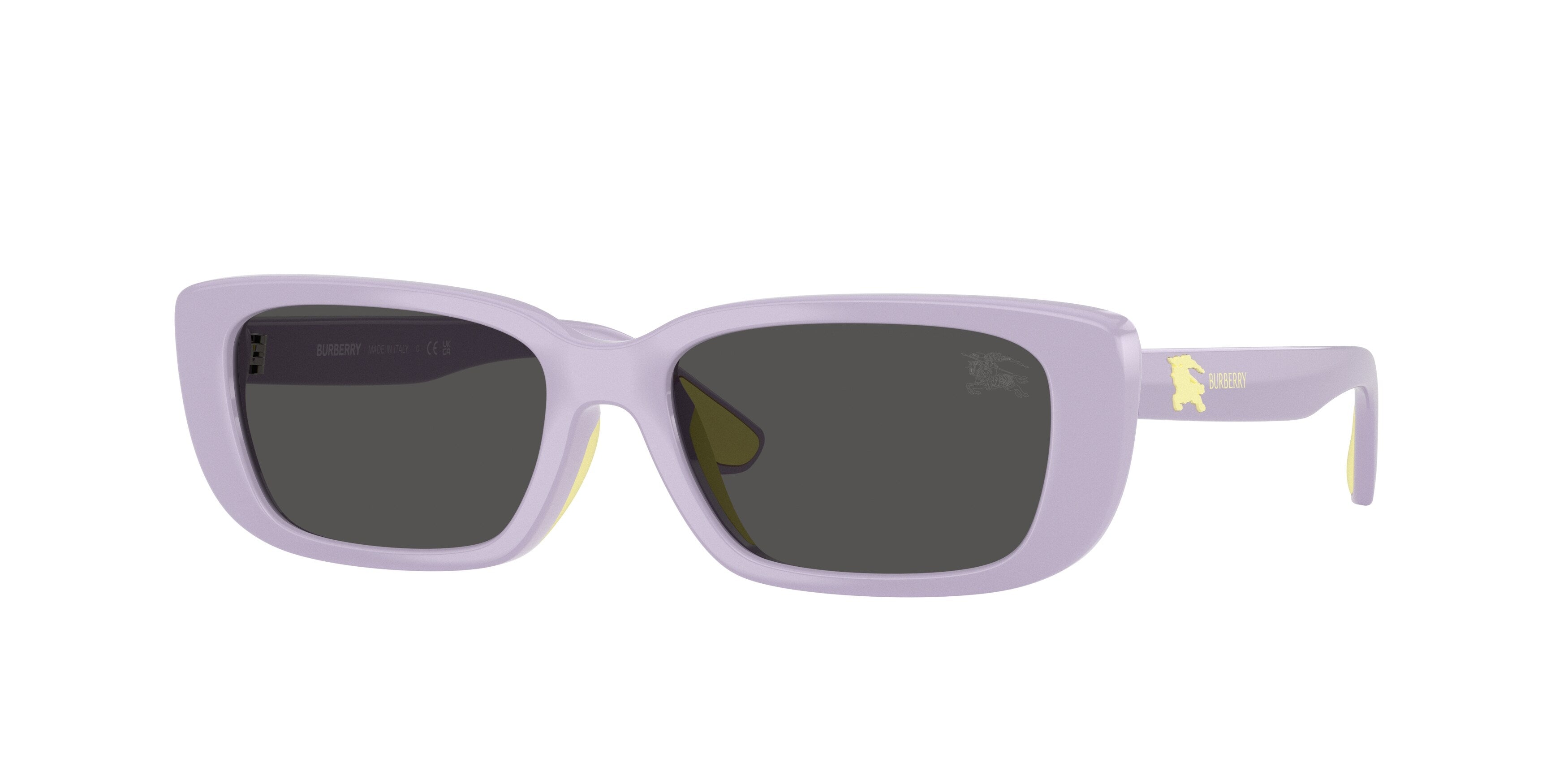 Burberry JB4006U 422887