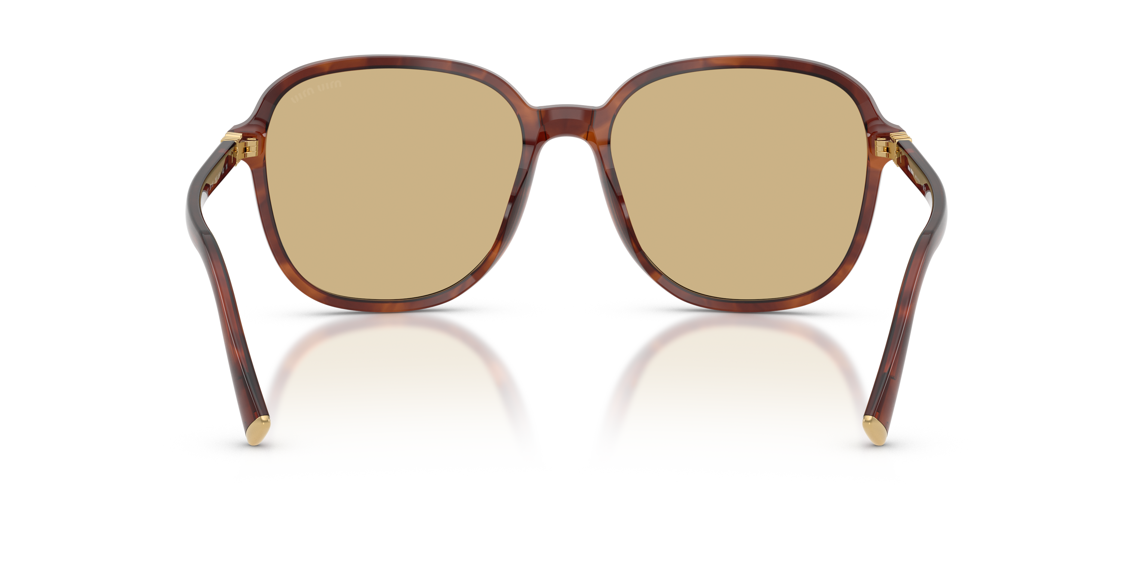 MU B01S 26E10R Occhiali da sole Miu Miu 5
