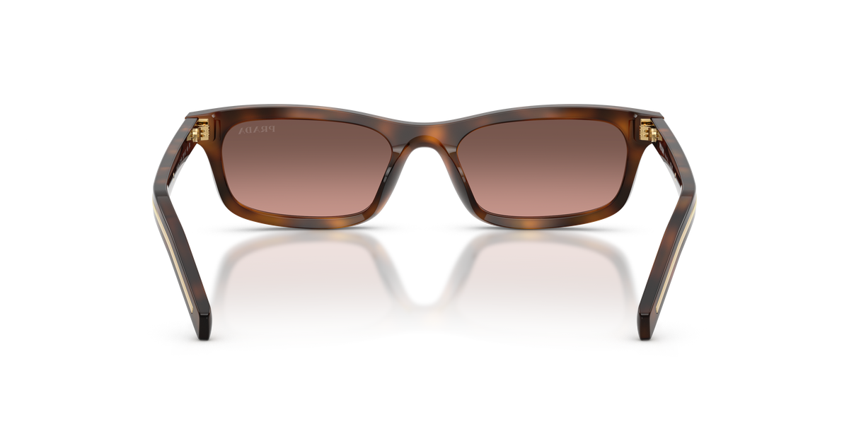 Prada PR D05S 20D11C