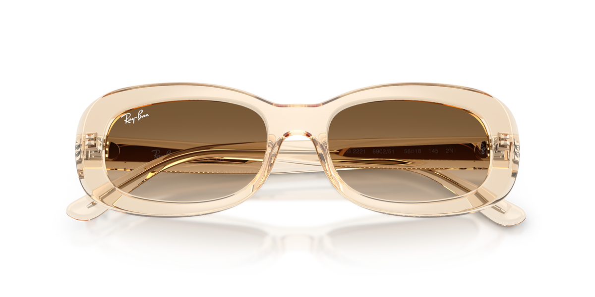 Ray - Ban RB2221 690251