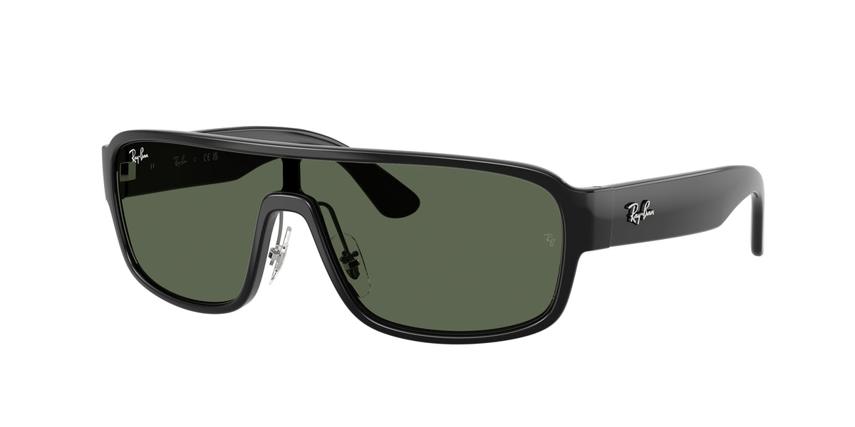 Ray - Ban RB2233 901/71