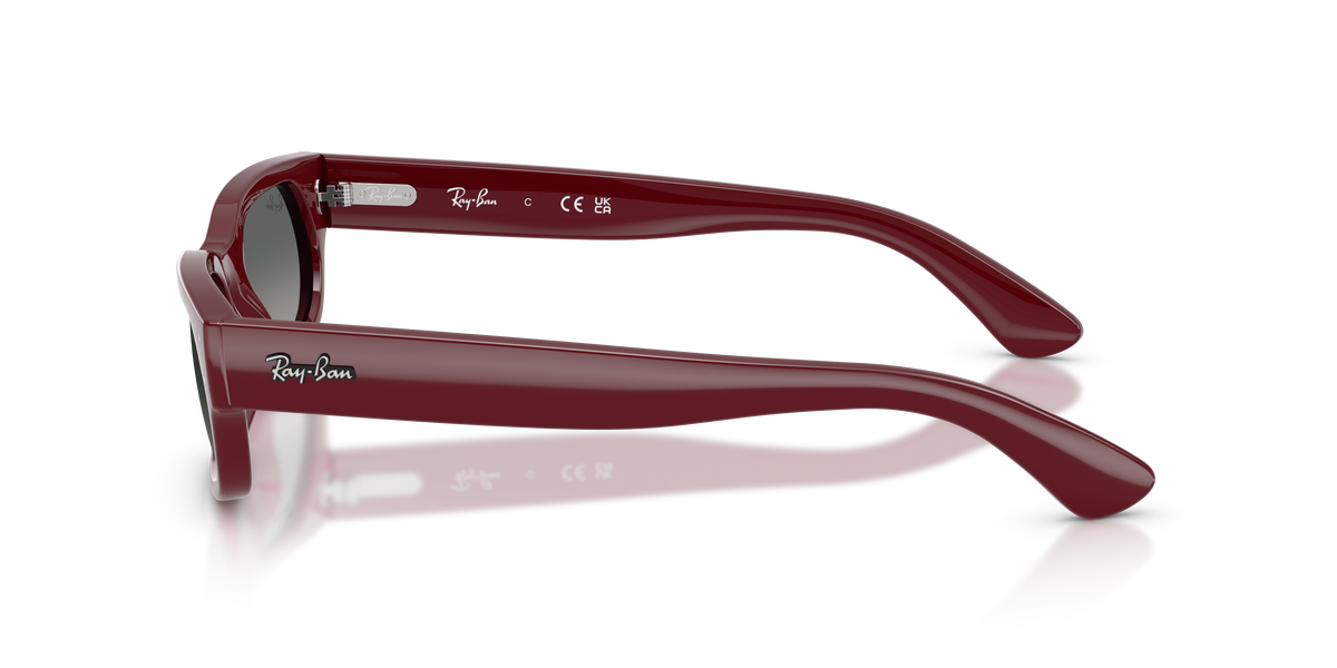 Ray - Ban RB2236 689971