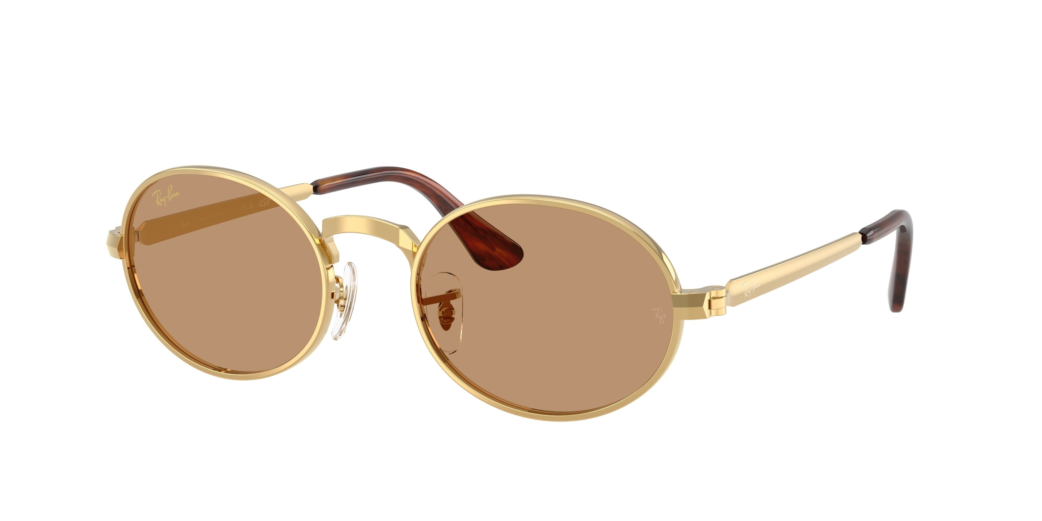 Ray - Ban A$AP Rocky RB3931 001/53