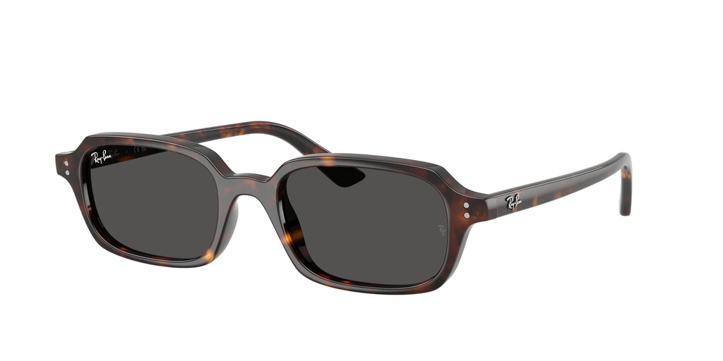 Ray - Ban RB4455 ZURI 135987 en Vistaexpert