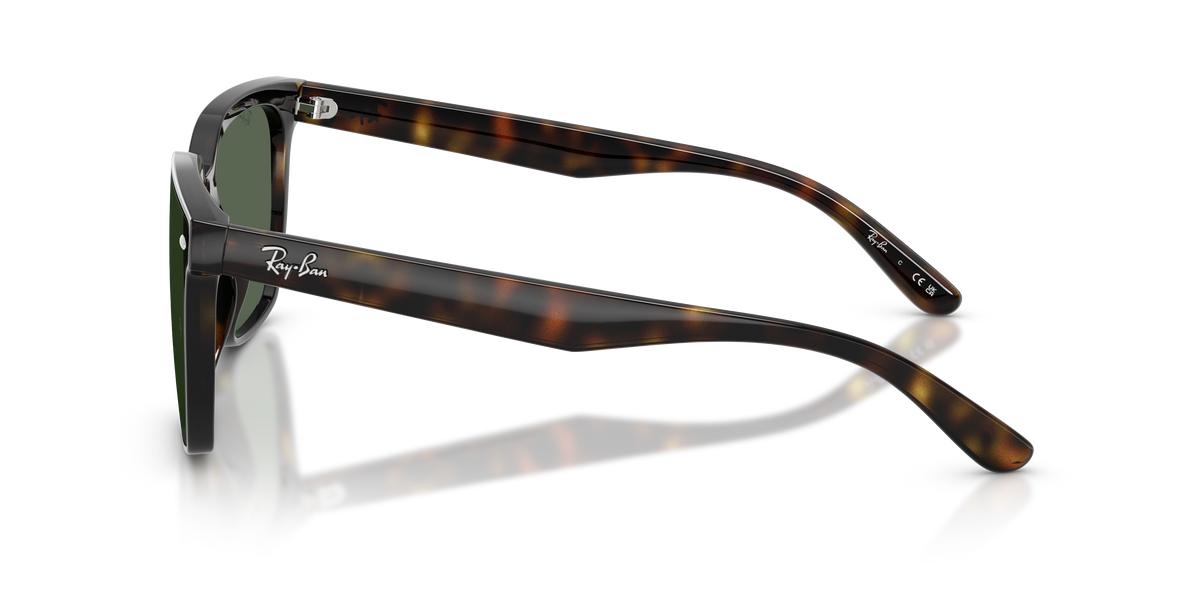 Ray - Ban RB4466D 710/71