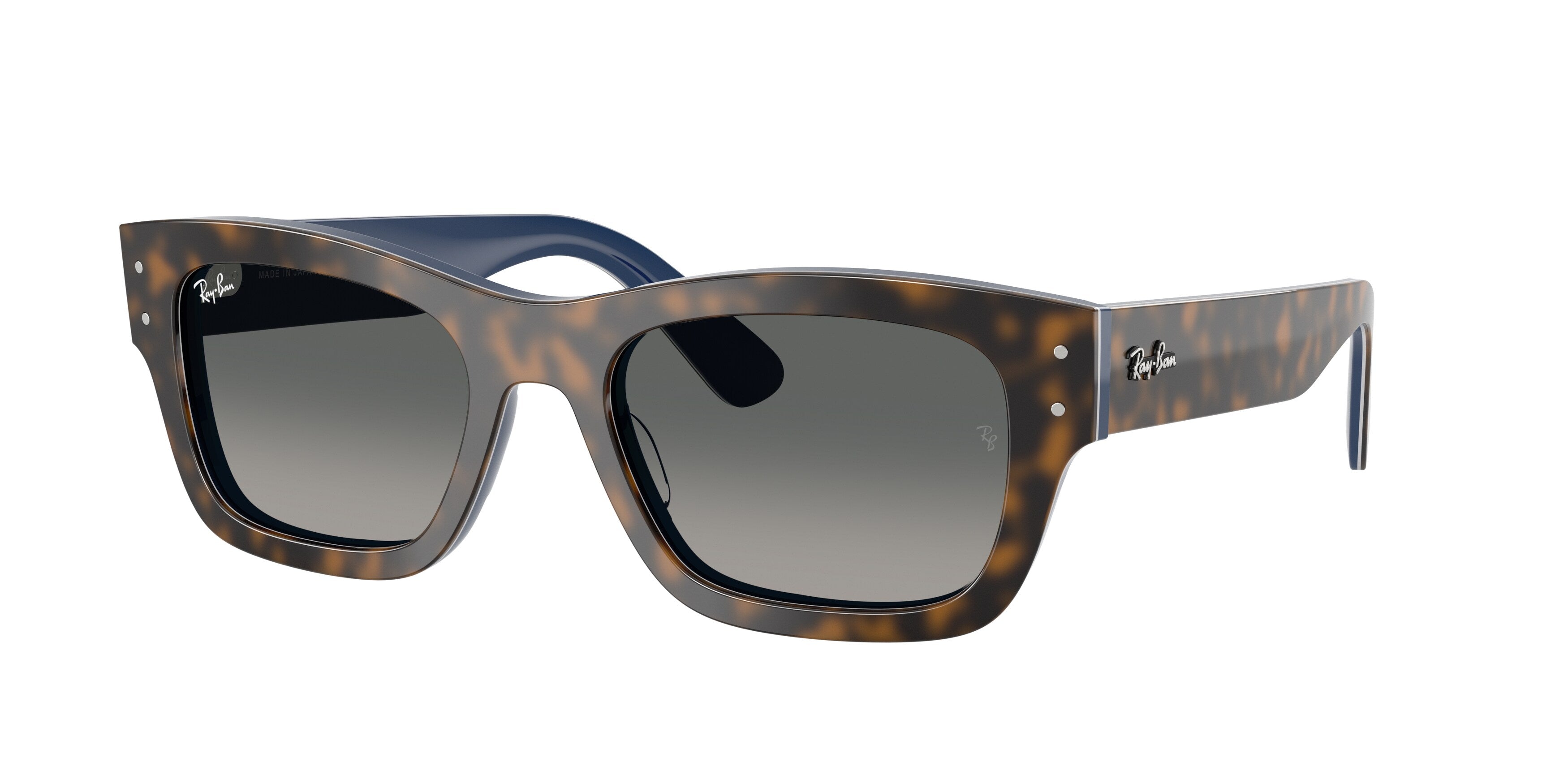 Sunglasses Ray - Ban RB7683S Joseph 140171 8056262281888 Frame