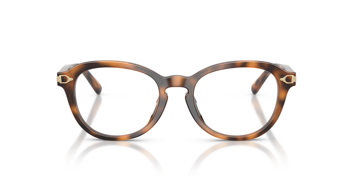 Ralph Lauren RL6267U 6089