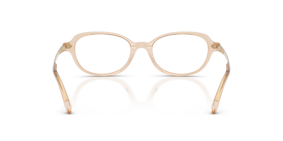 Ralph Lauren RL6269U 6062