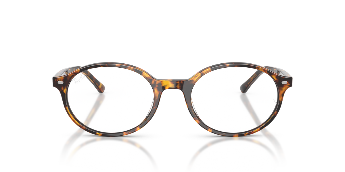Ray - Ban RX5429 DEUTSCH 8536