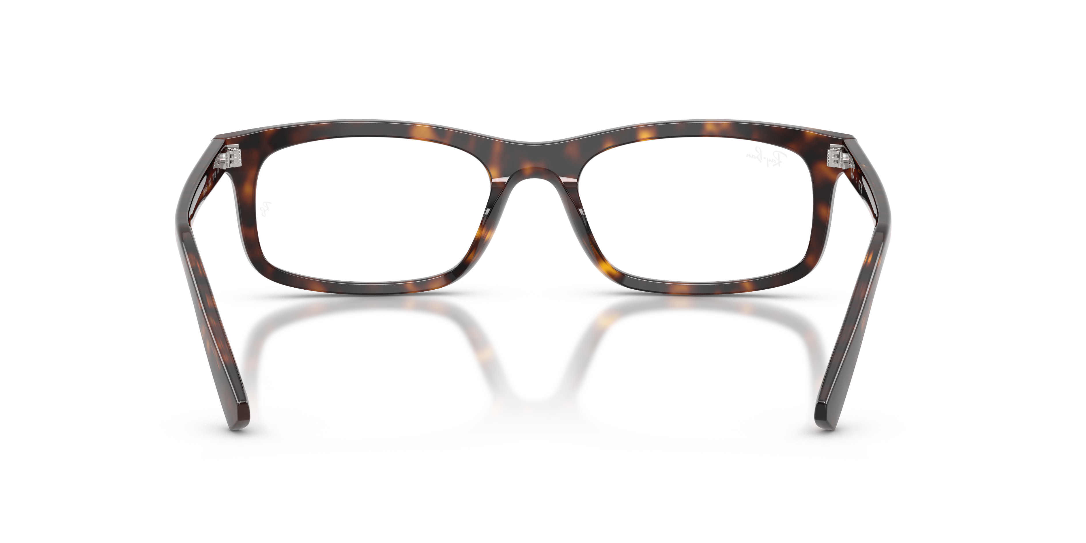 Ray - Ban RX5450 2012