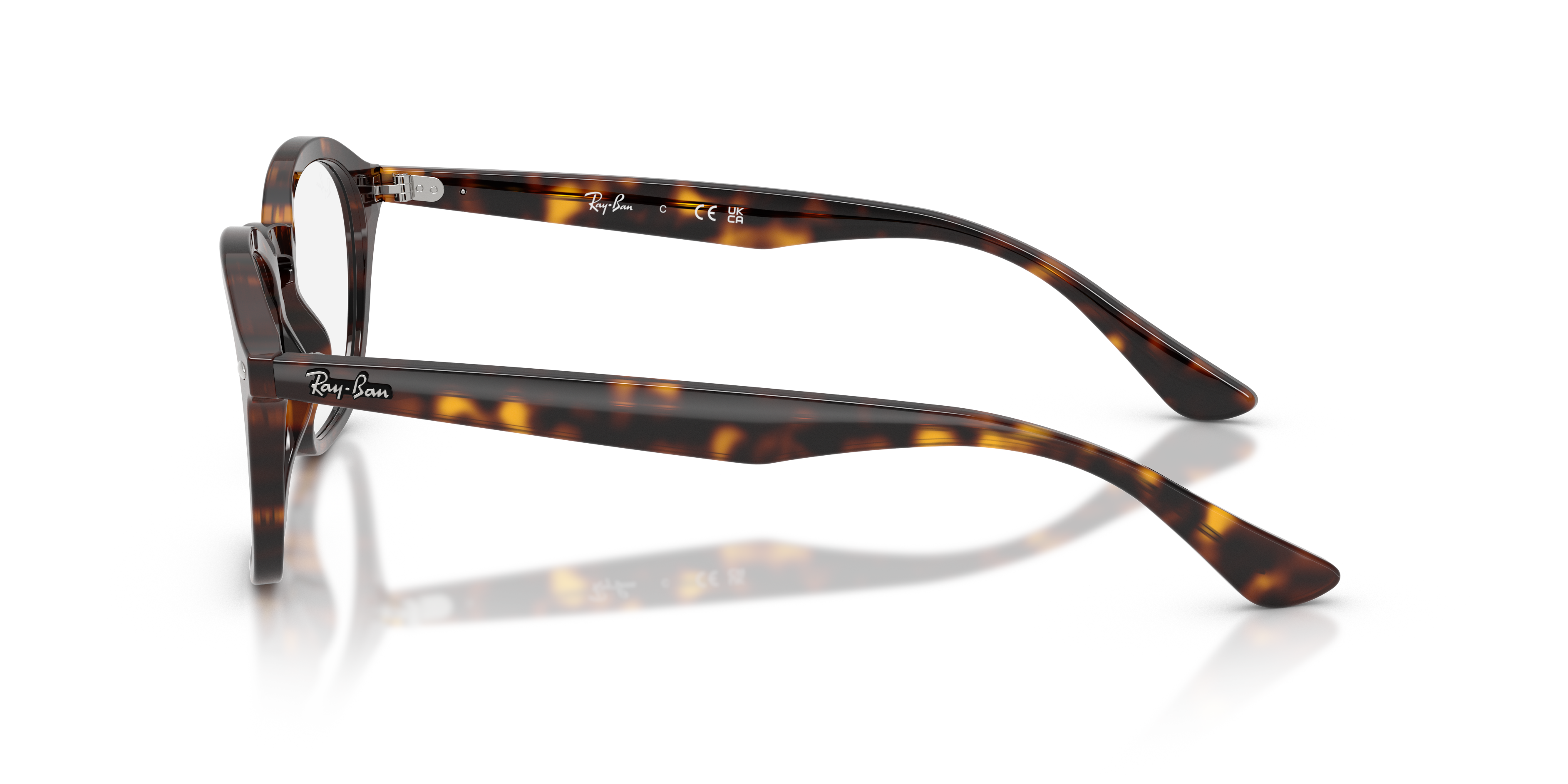 Ray - Ban RX5451 2012