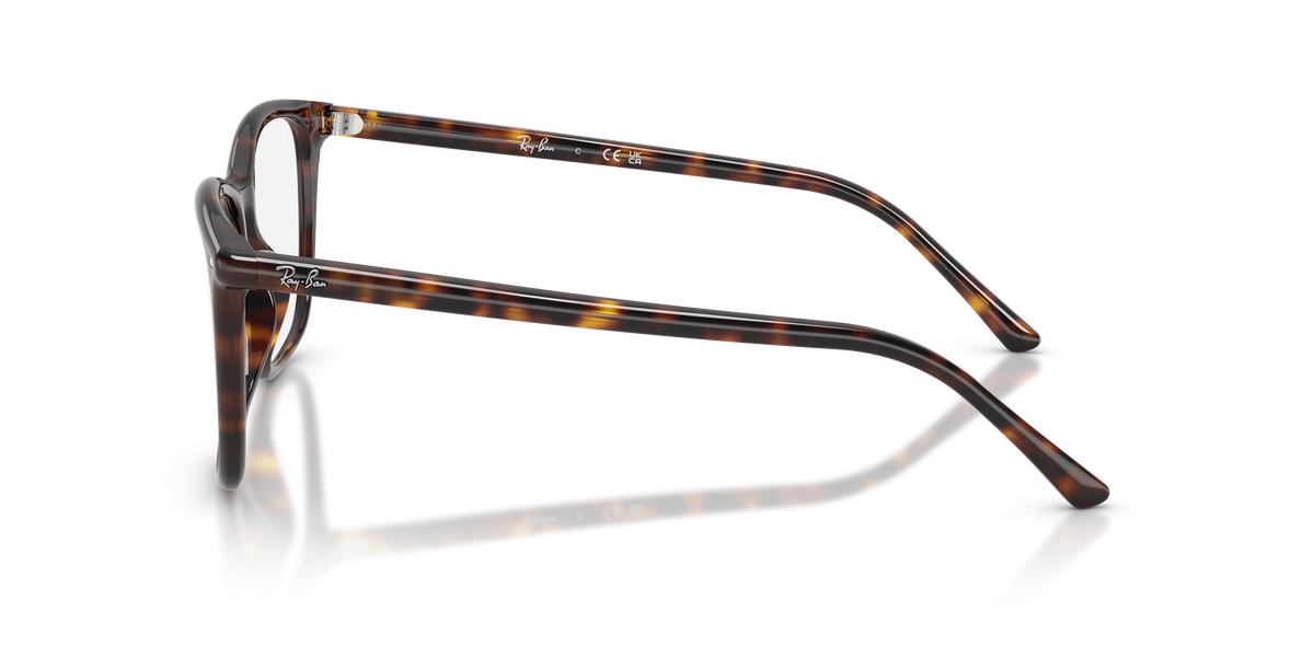Ray - Ban RX5455 2012
