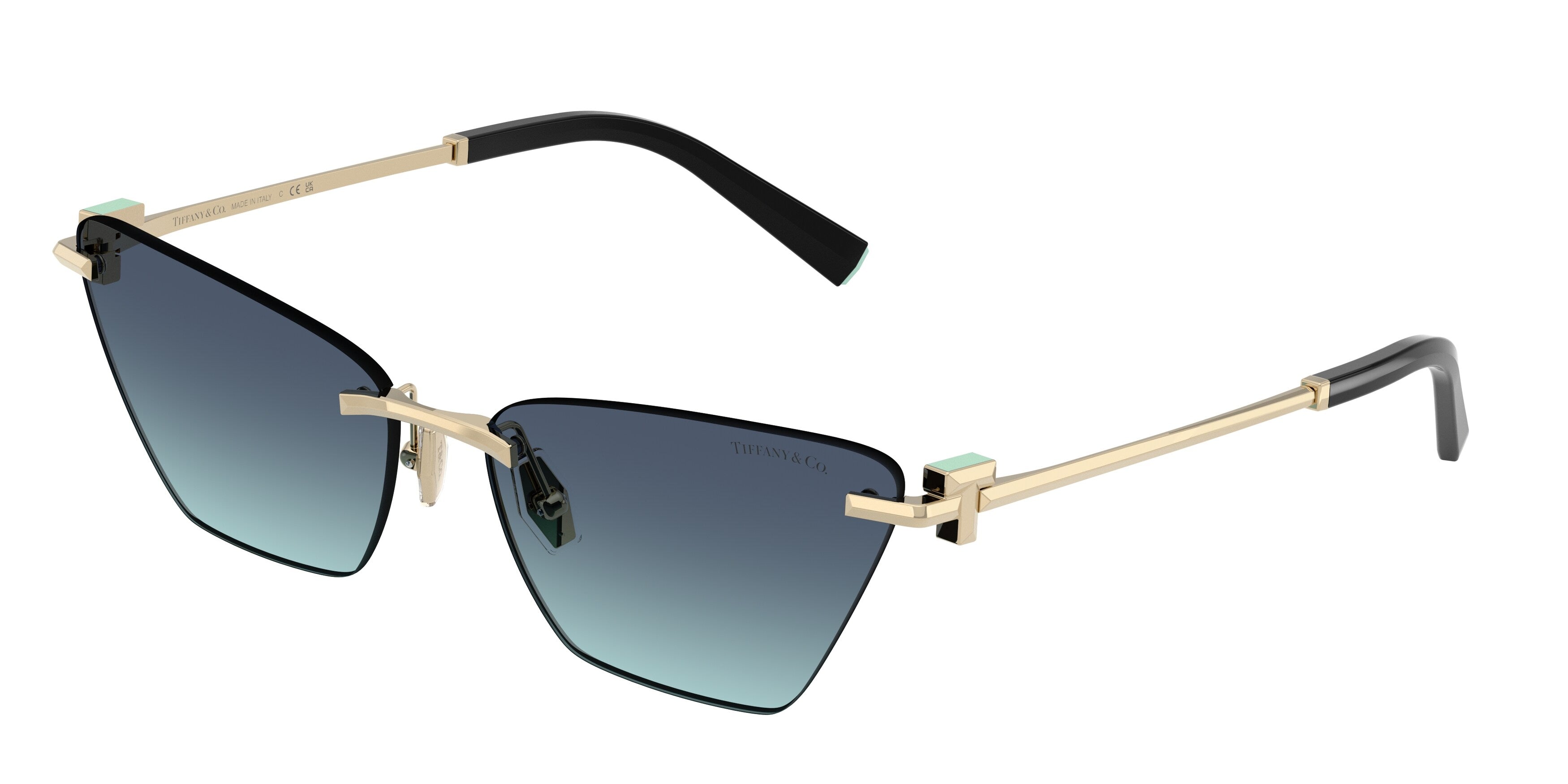 Tiffany TF3120 60219S Occhiali da sole Tiffany 1