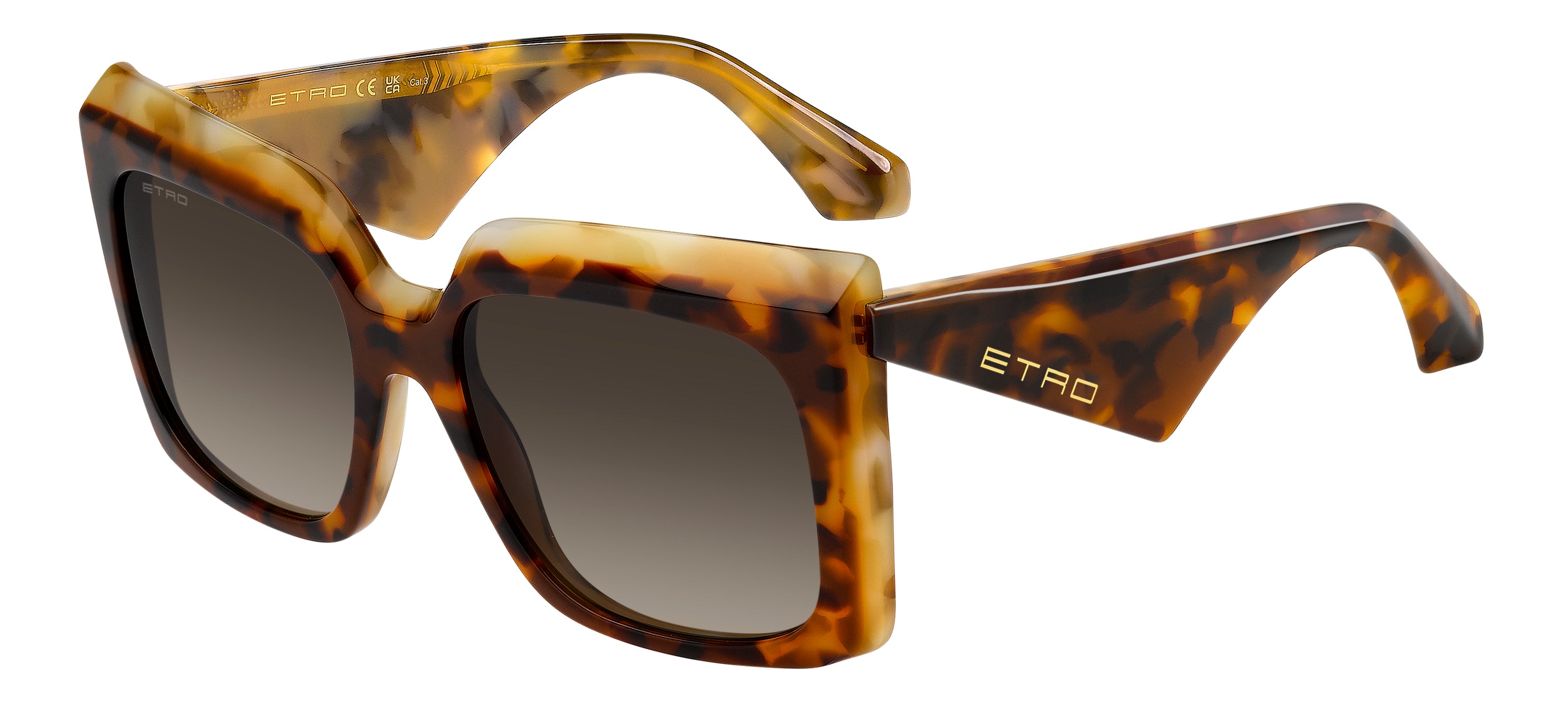 ETRO 0117/S P65/HA