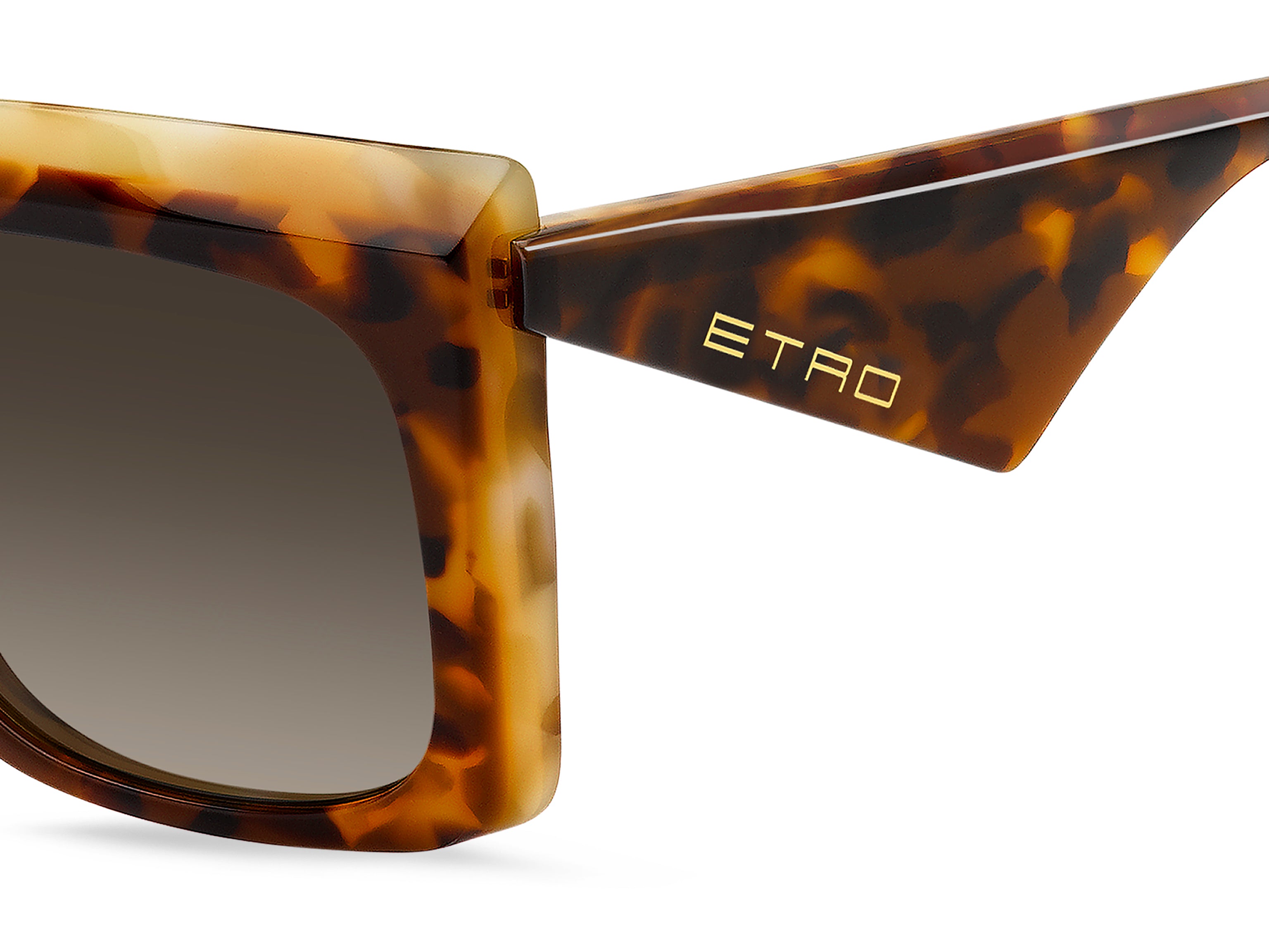 ETRO 0117/S P65/HA