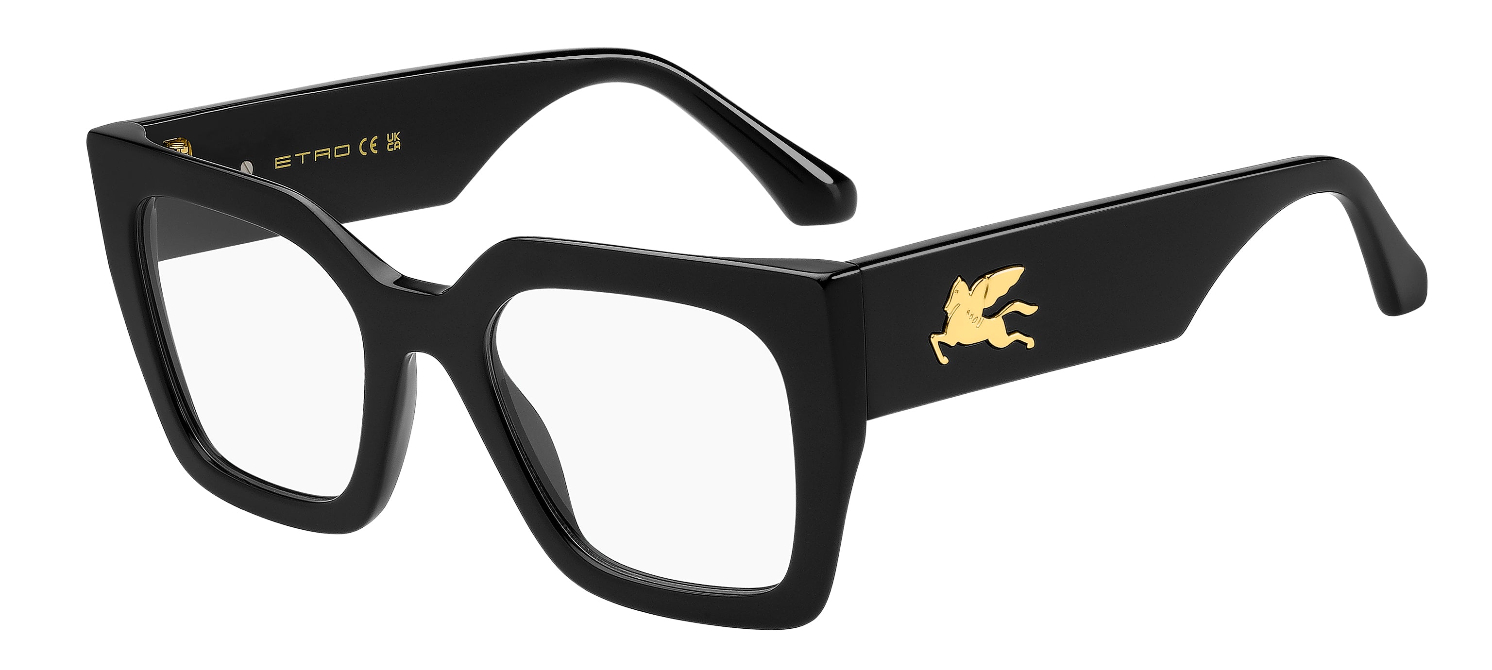 ETRO 0109 807