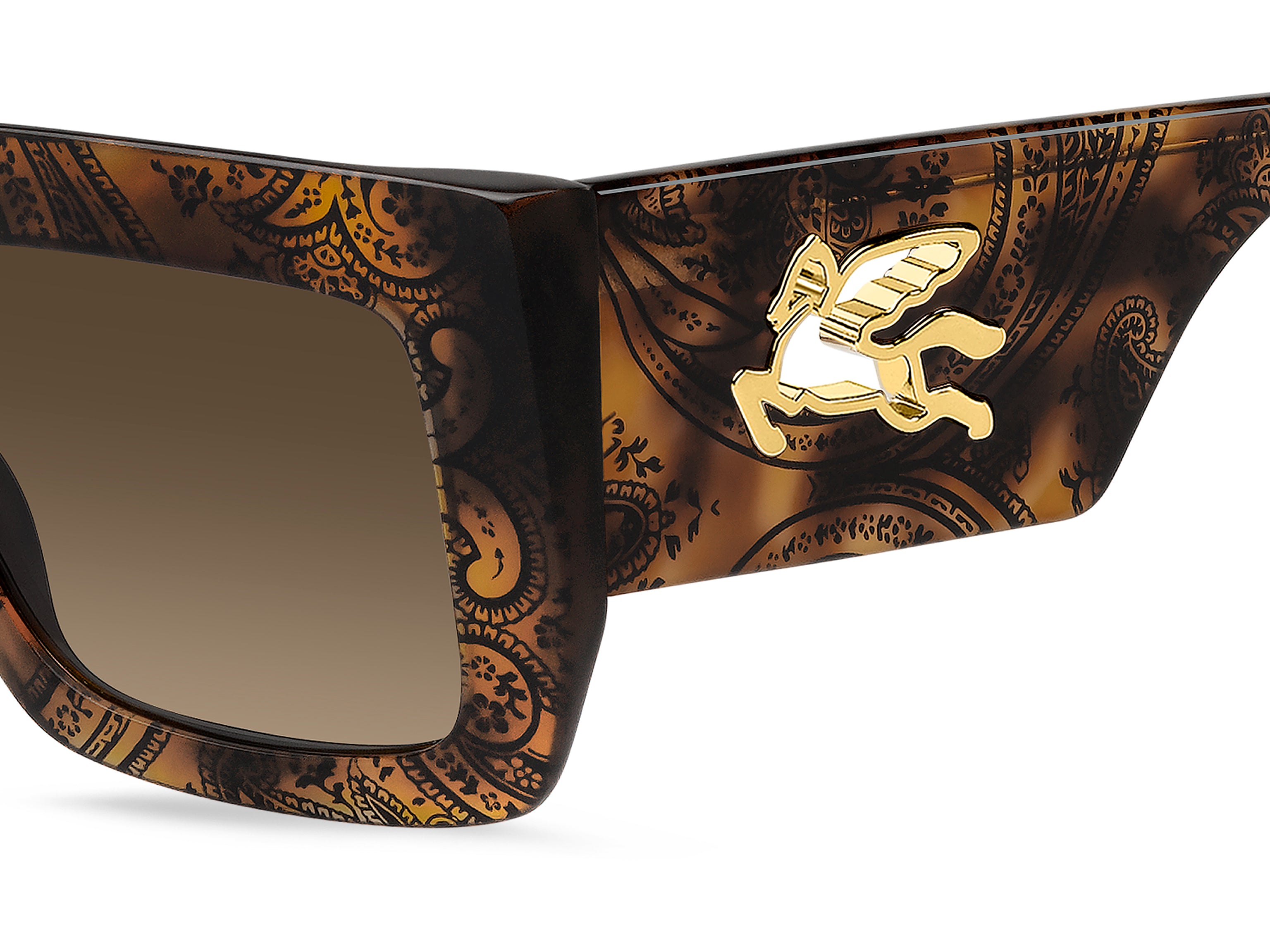ETRO 0108/S H7P/HA