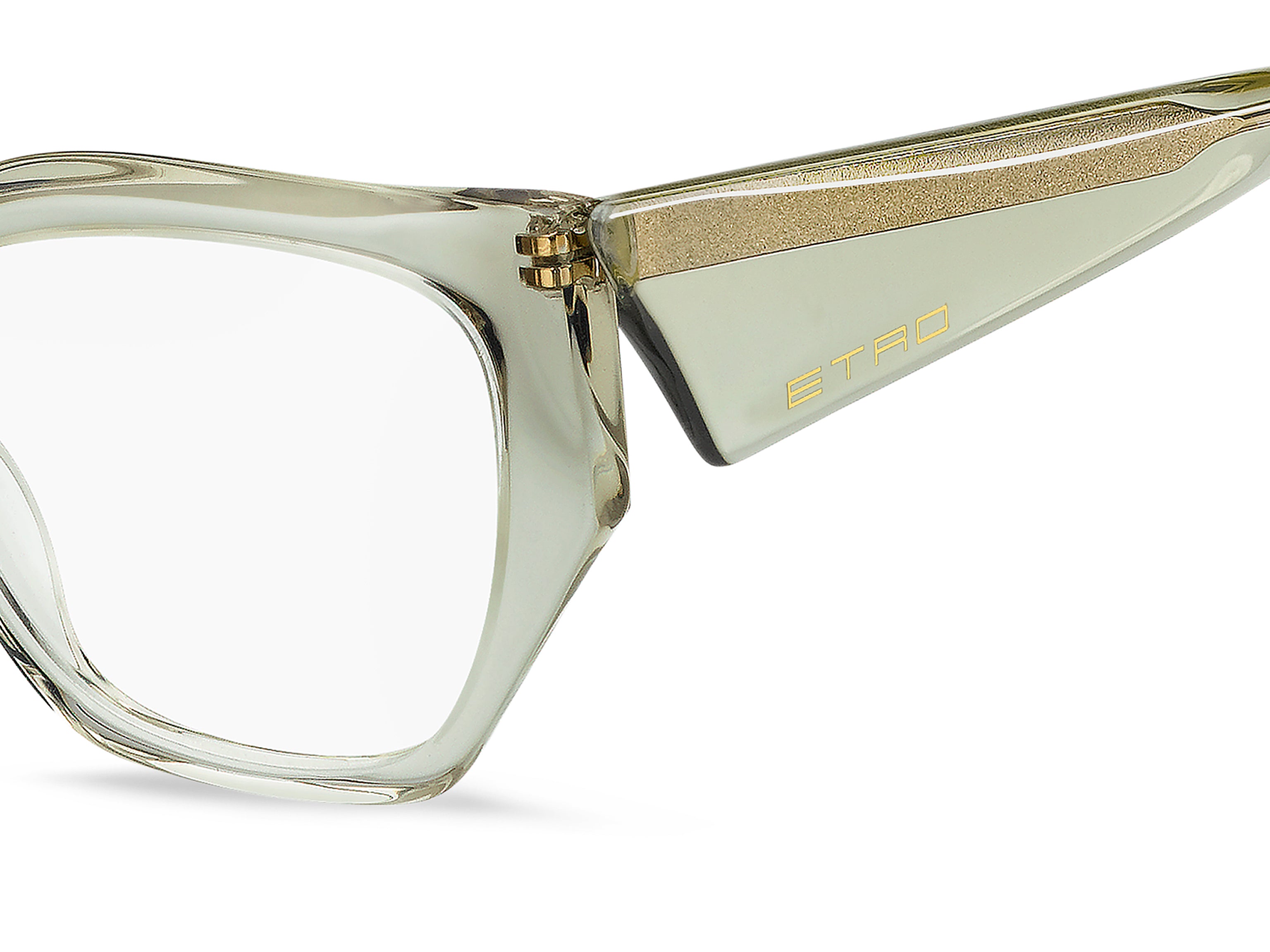 ETRO ETRO 0125 1ED Montature da vista ETRO 3