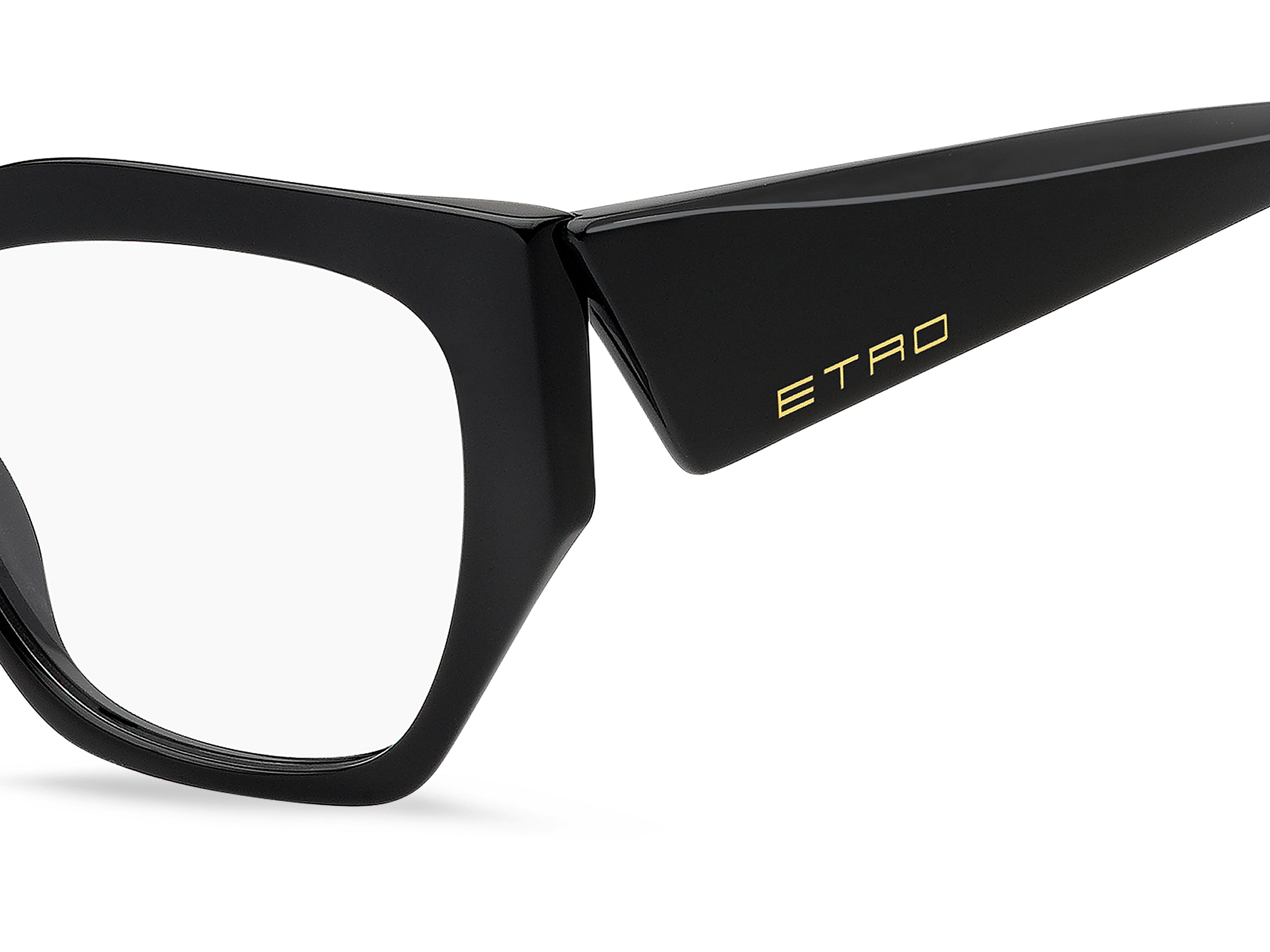 ETRO ETRO 0125 807 Montature da vista ETRO 3