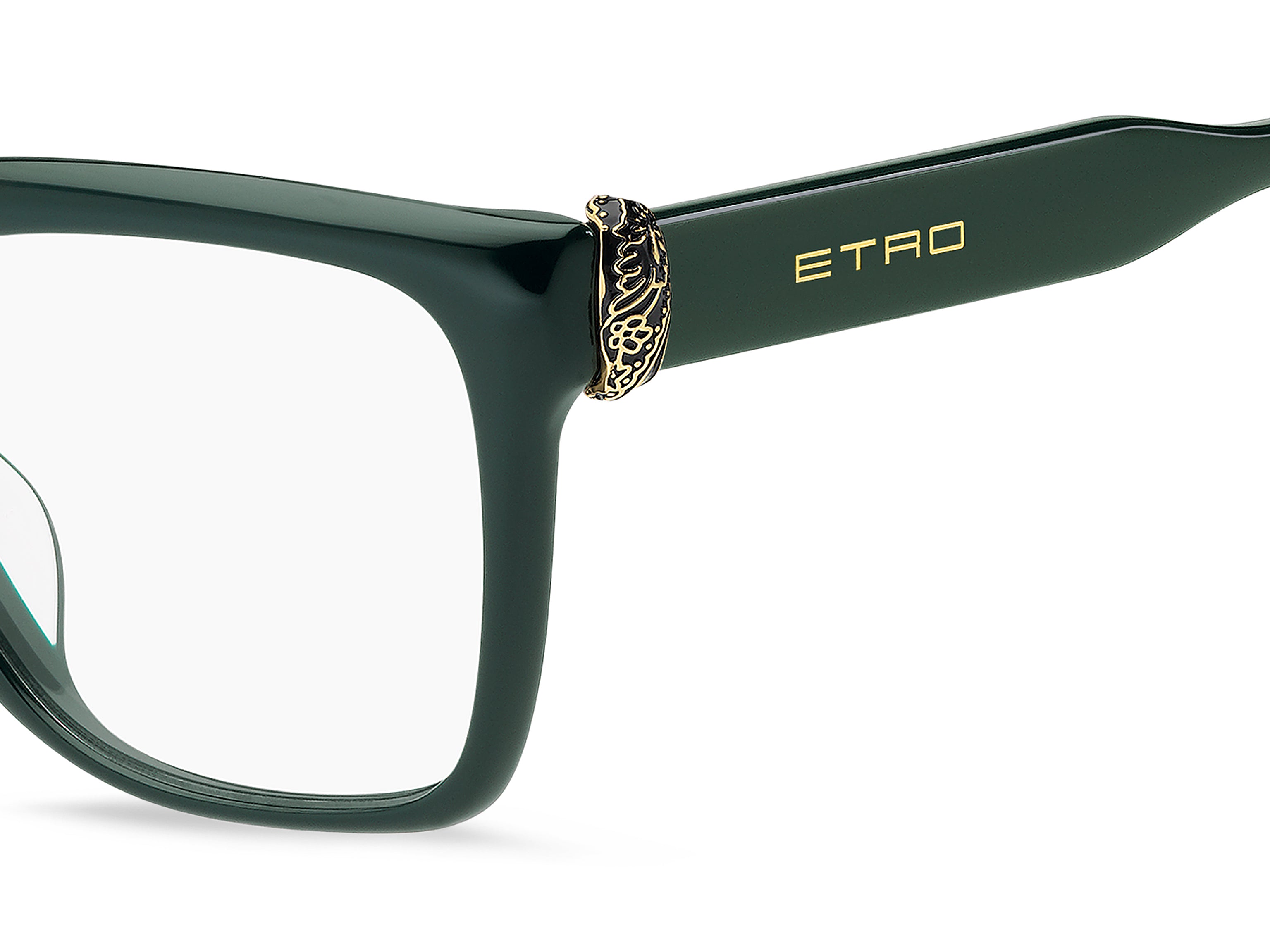 ETRO ETRO 0158/G 1ED
