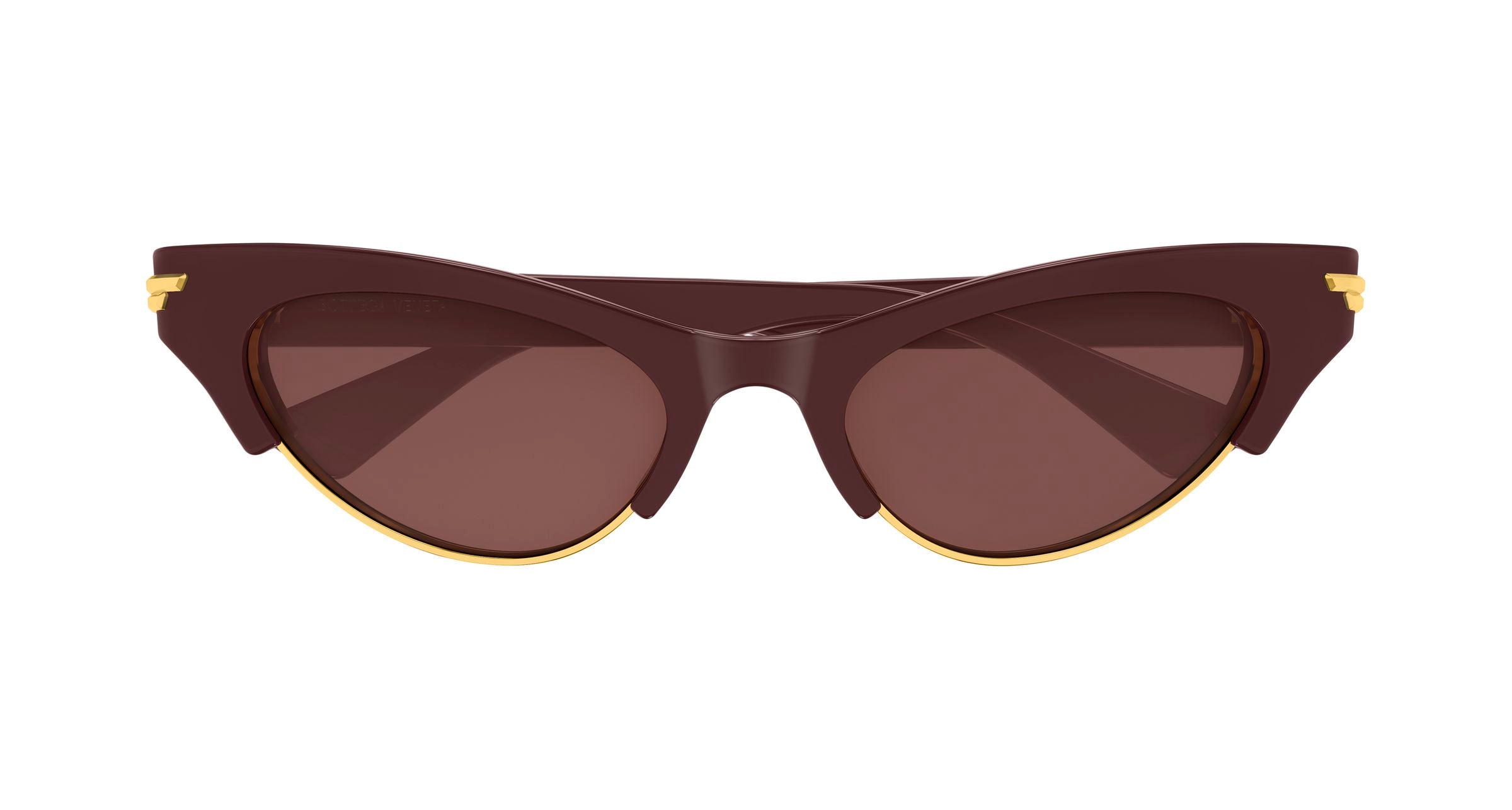 Bottega Veneta BV1431S 004