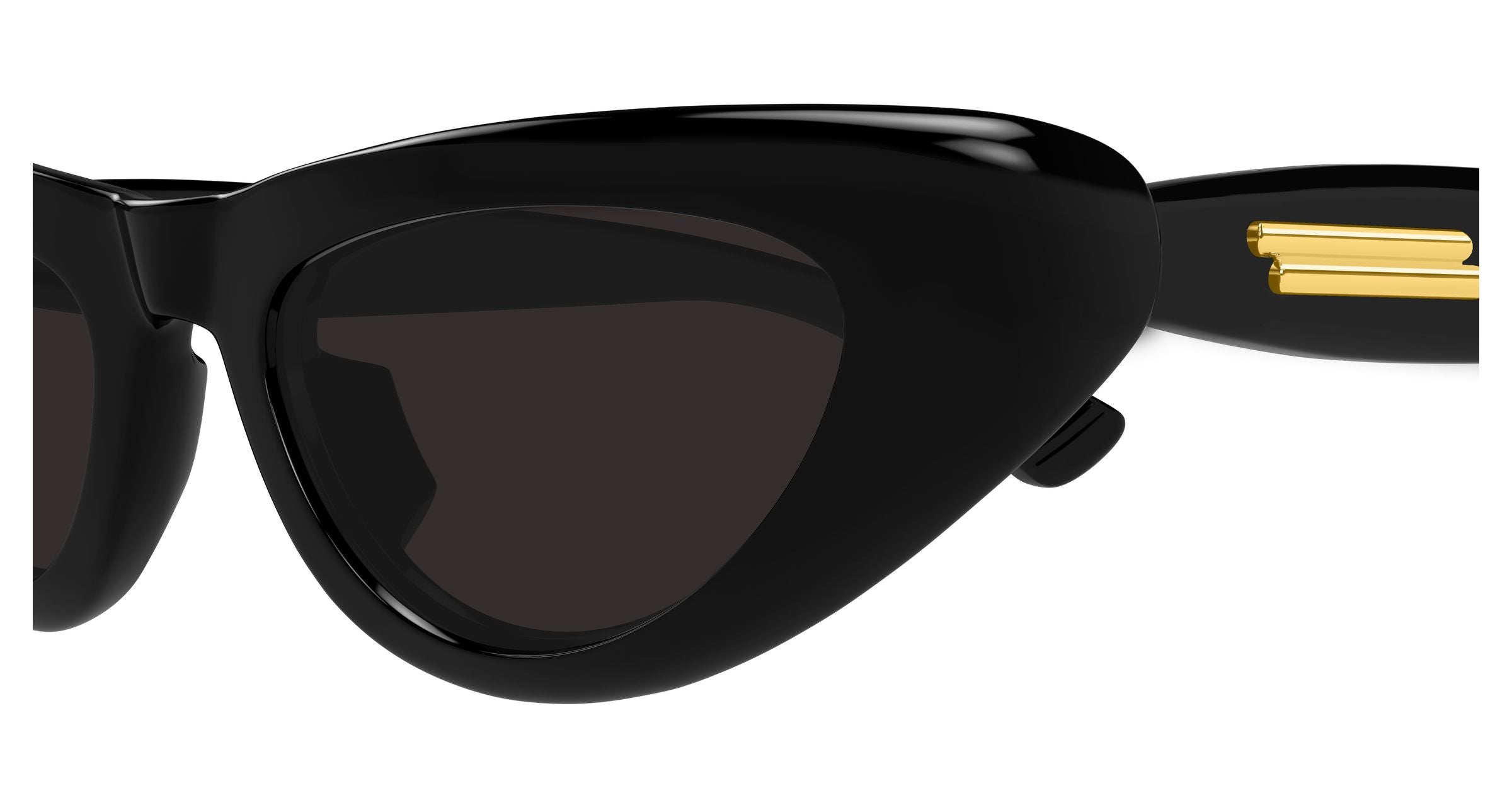 Bottega Veneta BV1450S 001