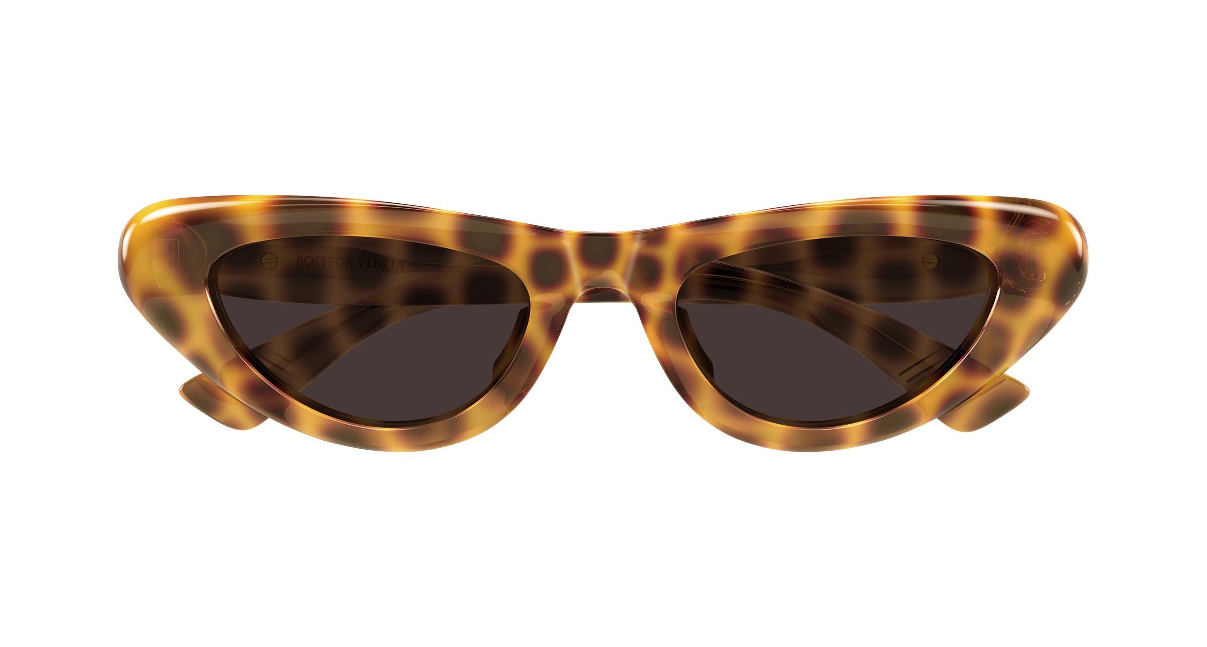 Bottega Veneta BV1450S 002