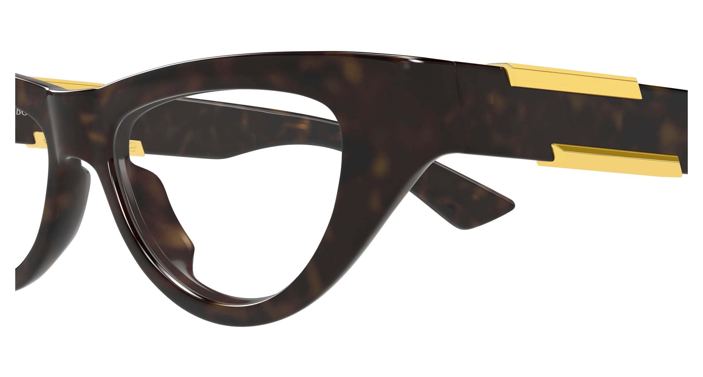 Bottega Veneta BV1454O 002