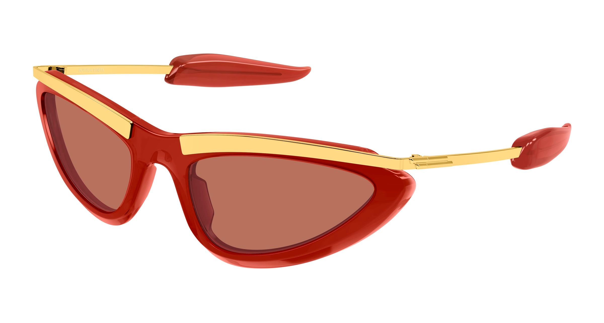 Bottega Veneta BV1477S 005