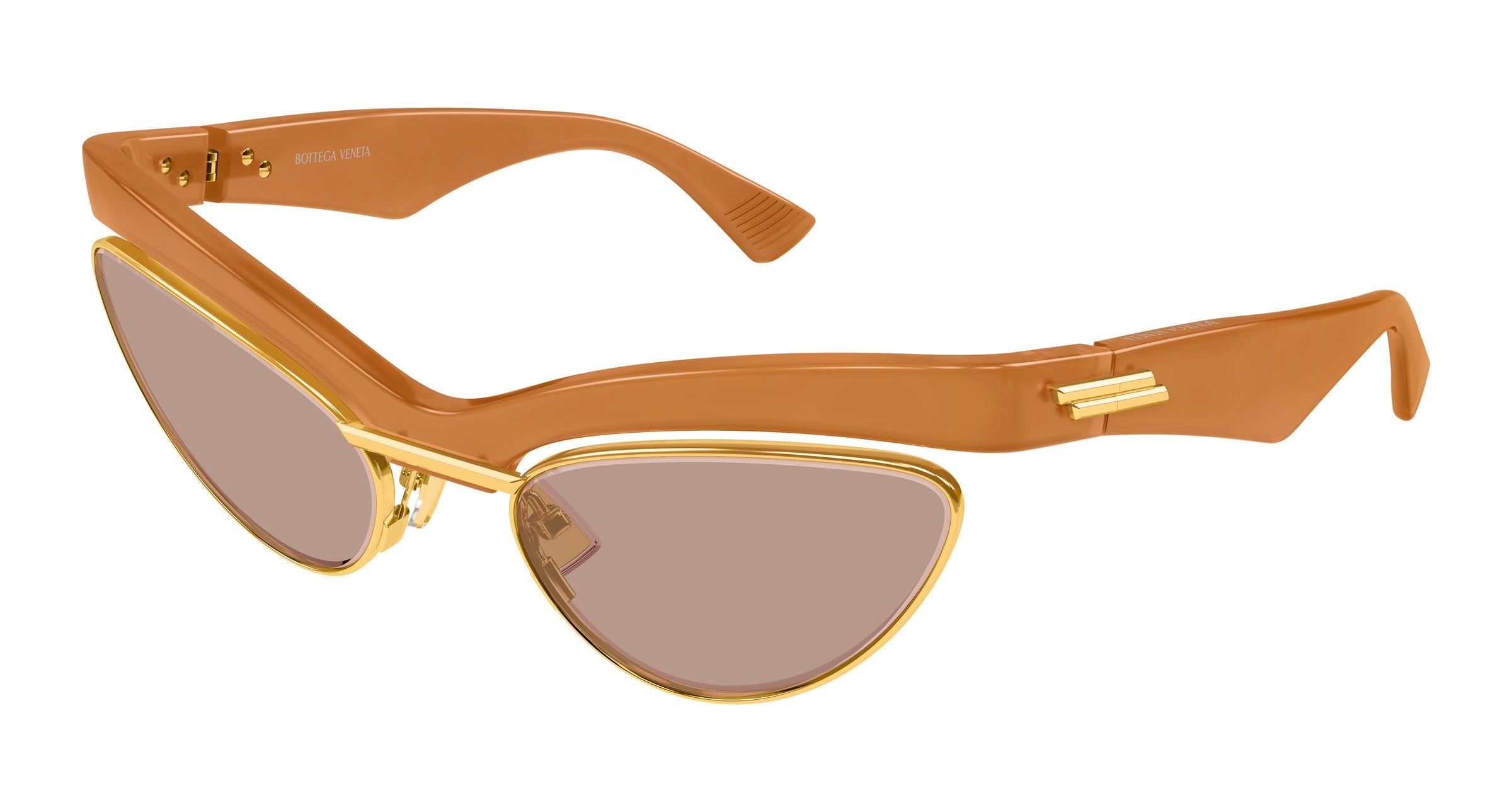 Bottega Veneta BV1480S 005