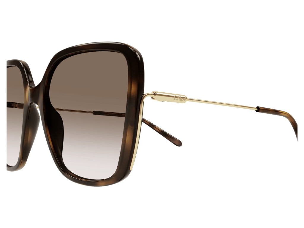 CH0173S 002 Occhiali da sole Chloé 3