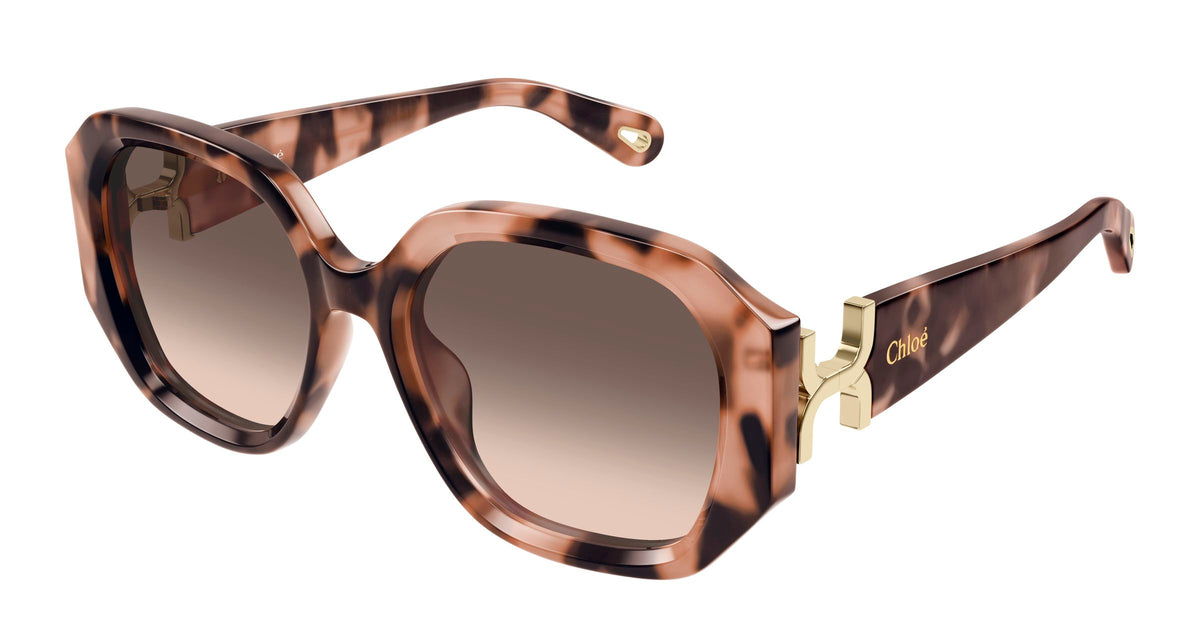 Chloé CH0236S 005