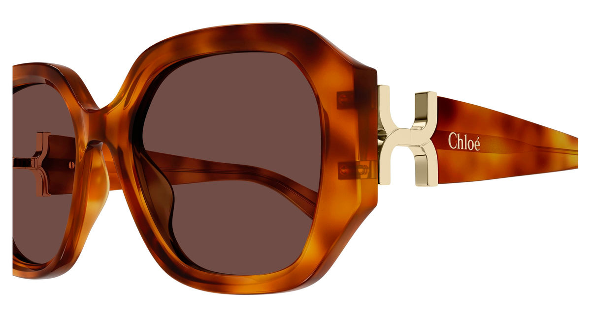 Chloé CH0236S 006
