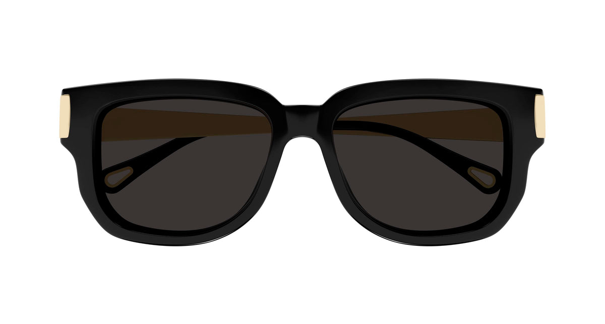 Chloé CH0351S 001