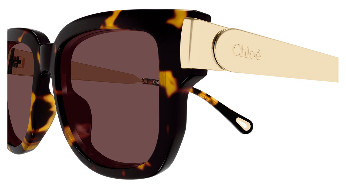 Chloé CH0351S 003