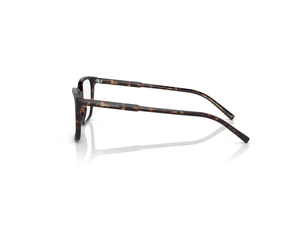 Dolce & Gabbana DG3365 502