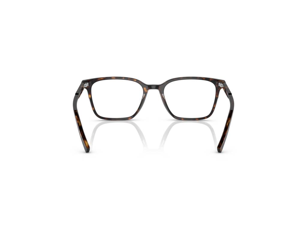 Dolce & Gabbana DG3365 502
