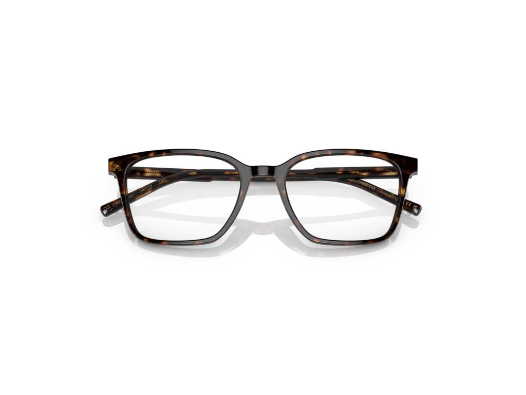 Dolce & Gabbana DG3365 502