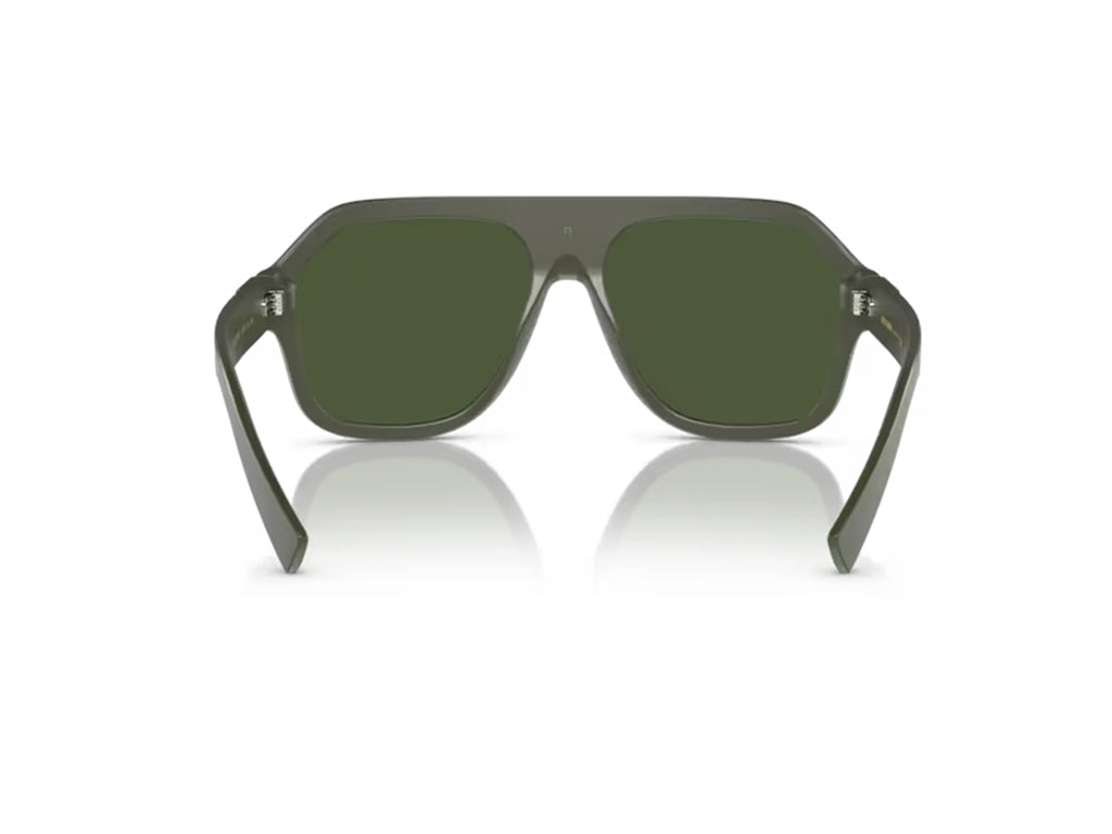 Dolce & Gabbana DG4433 329771 Occhiali da sole Dolce & Gabbana 4
