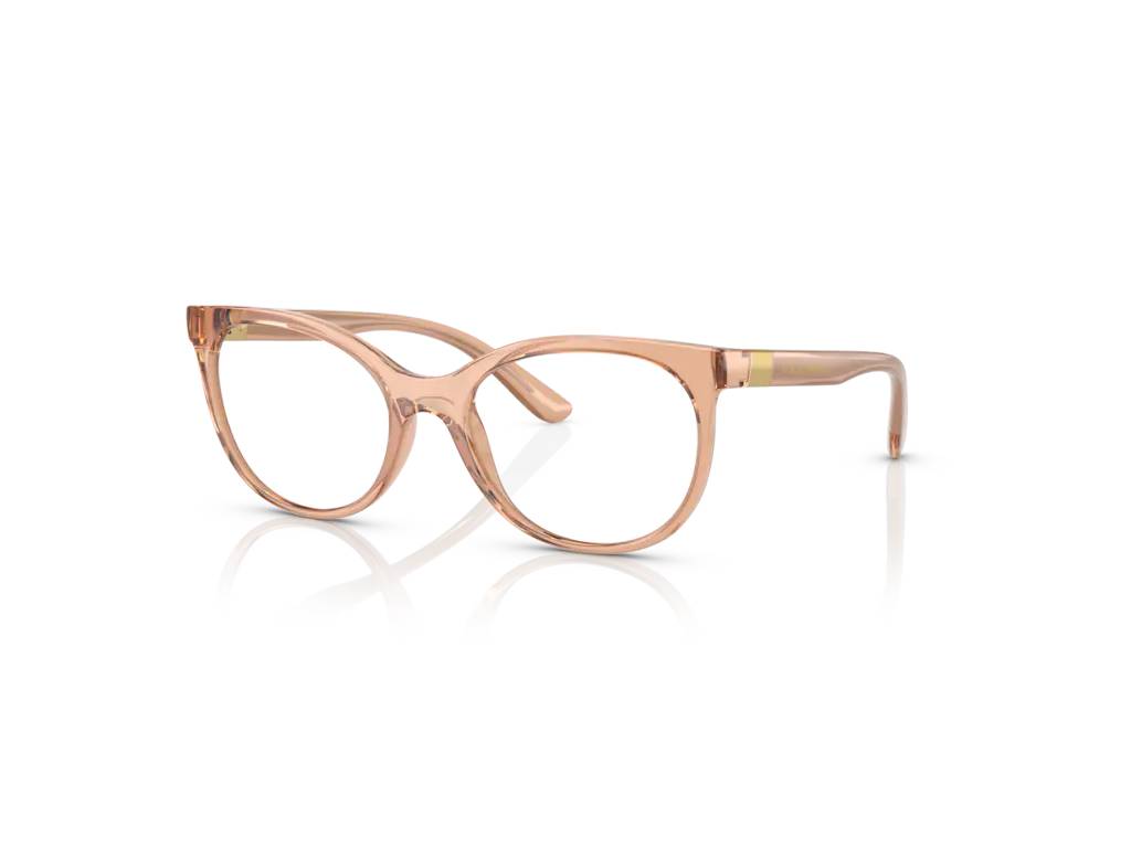 Dolce & Gabbana DG5084 3399
