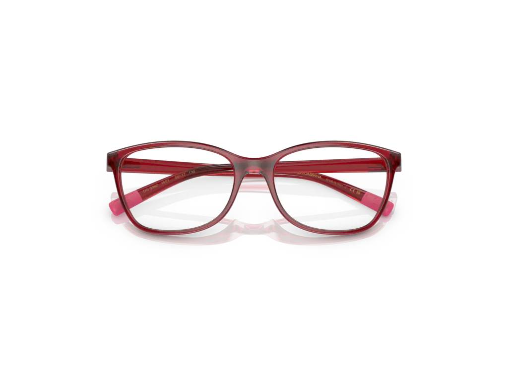 Dolce & Gabbana DG5092 1551