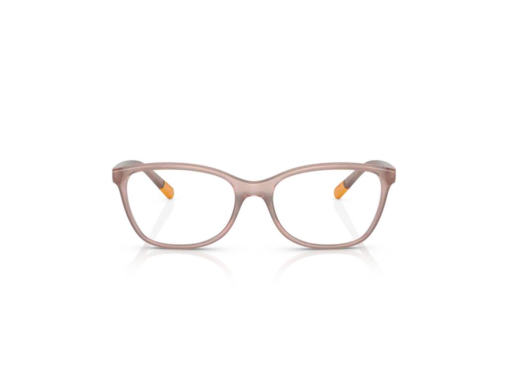 Dolce & Gabbana DG5092 3041