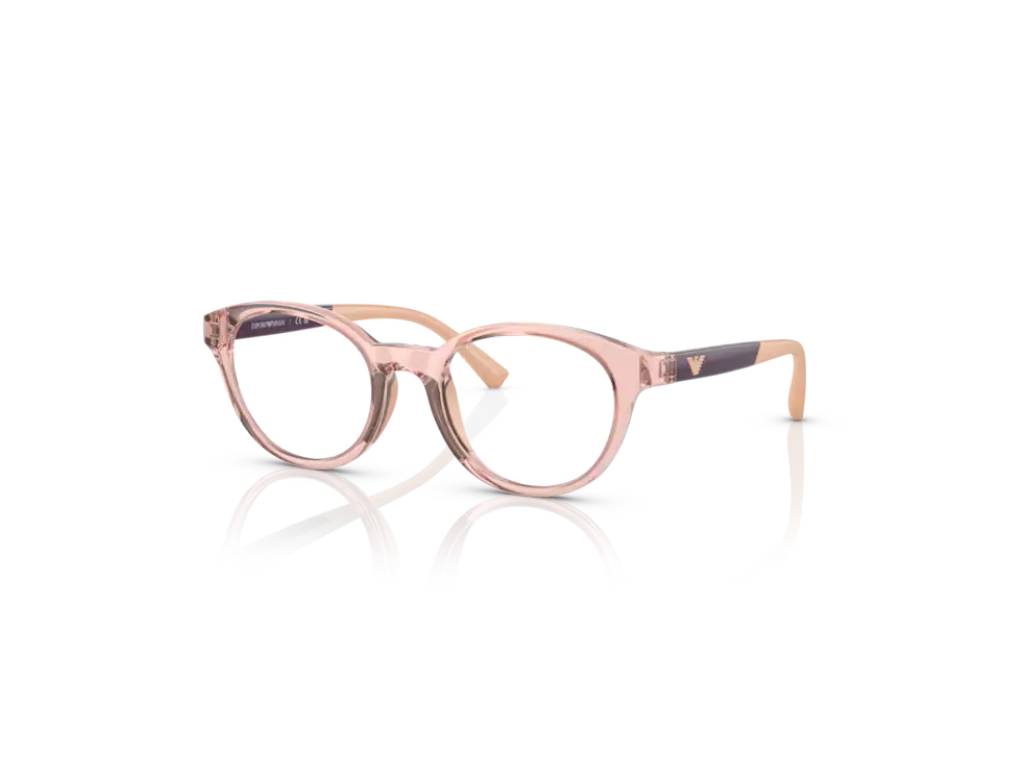 Emporio Armani EA3205 5821