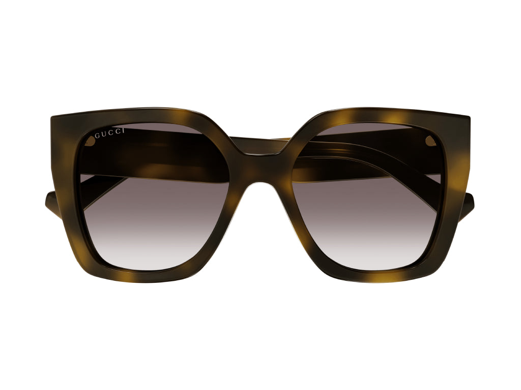 GG1300S 003