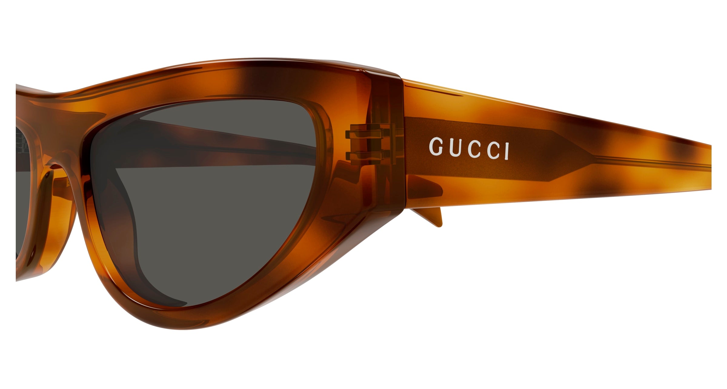 Gucci GG1919S 004