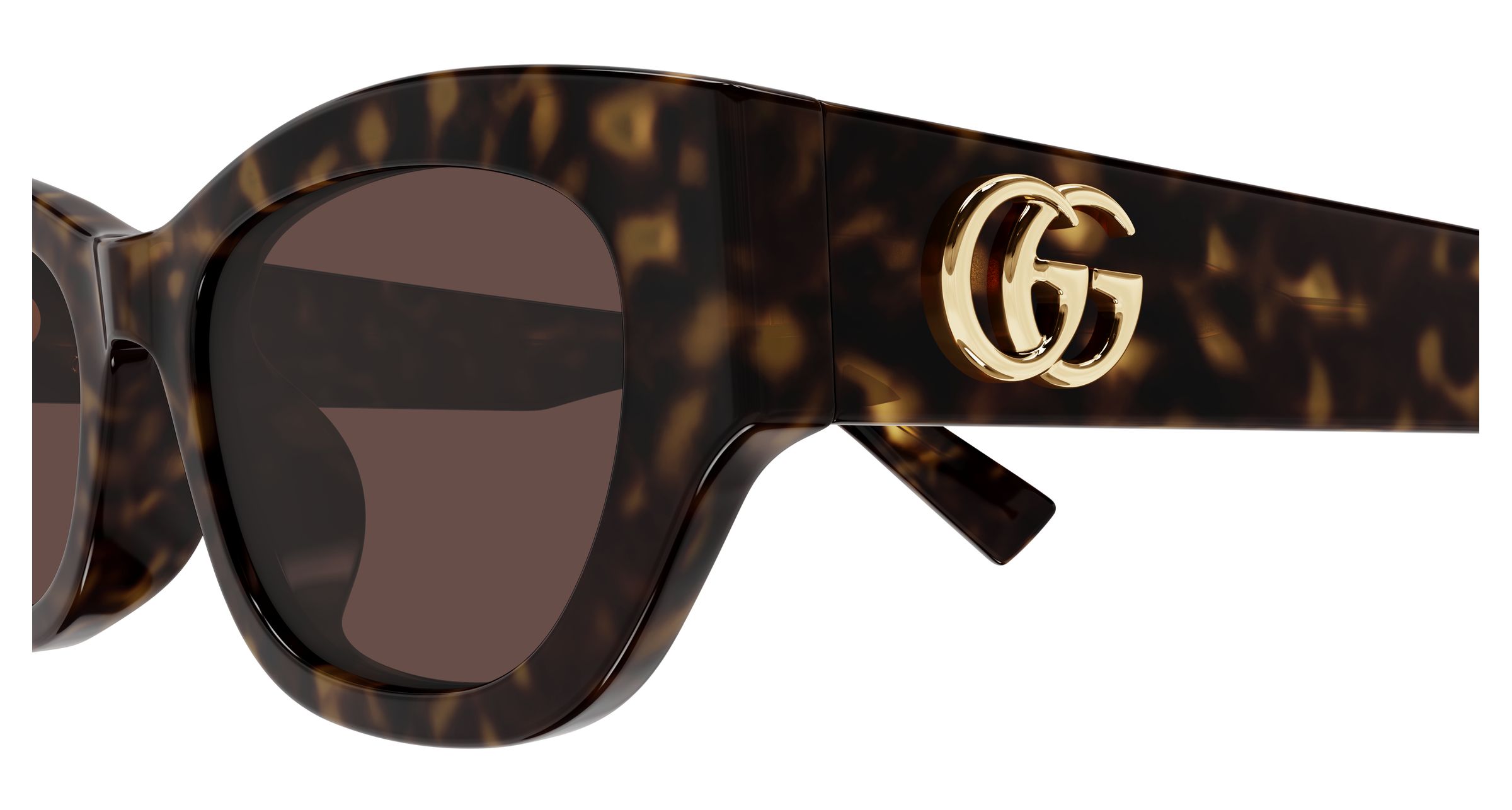 Sunglasses Gucci GG1954SA 002 889652568089 Frame color Havana: Buy