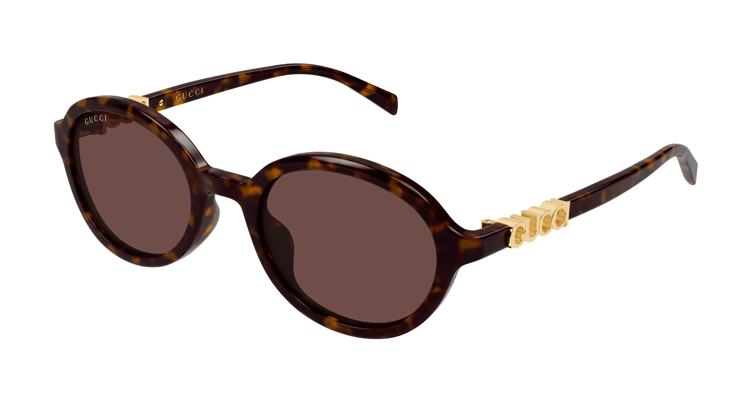 Sunglasses Gucci GG2033SA 002 889652632384 Frame color Havana: Buy