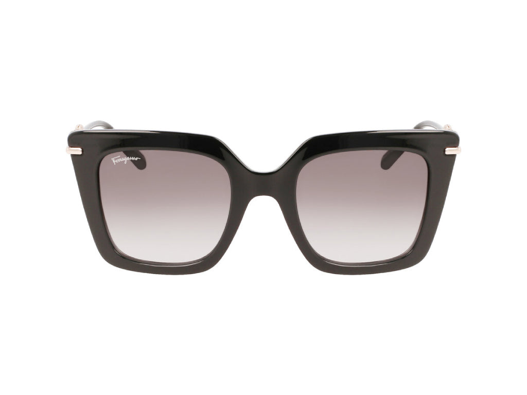 SF1041S 001