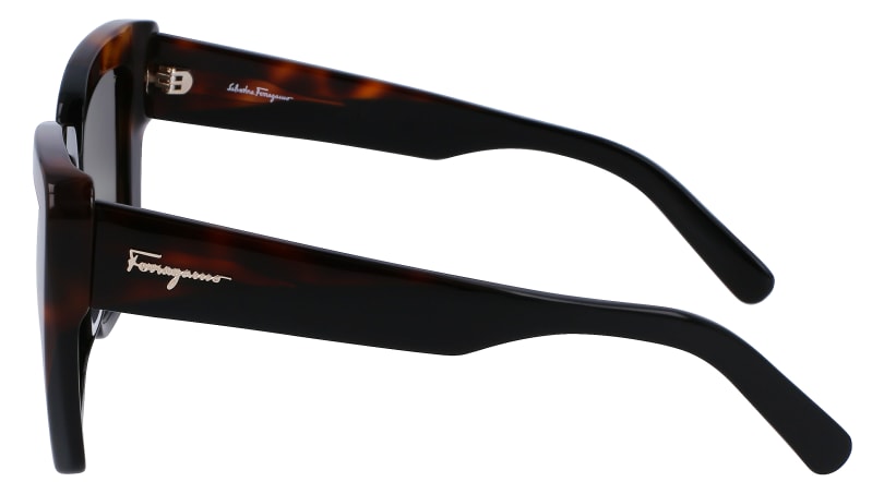 SF1060S 6 Occhiali da sole Ferragamo 4