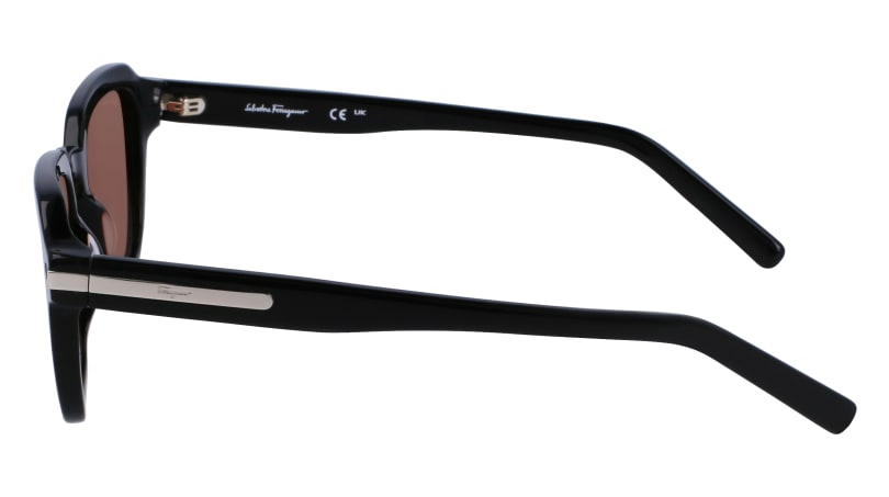 SF1089S 1 Occhiali da sole Ferragamo 4